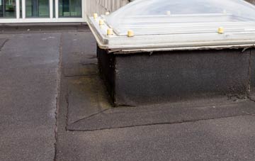 disadvantages of Milborne Port flat roofs